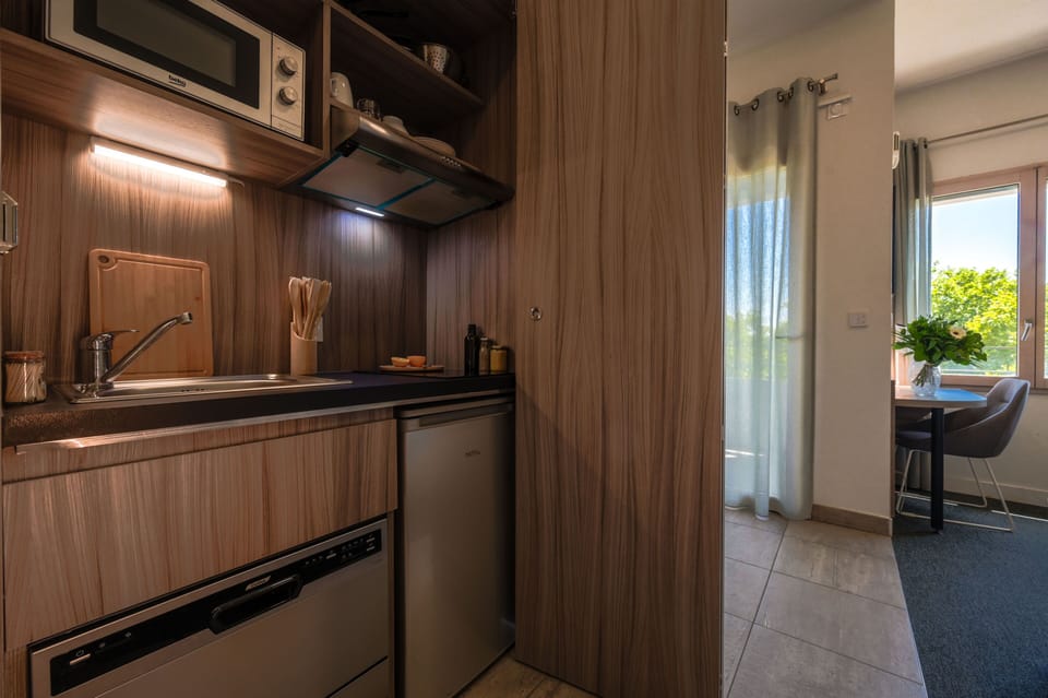 Fully equipped kitchenette with cooking plates, microwave, refrigerator, kettle, and coffee maker.