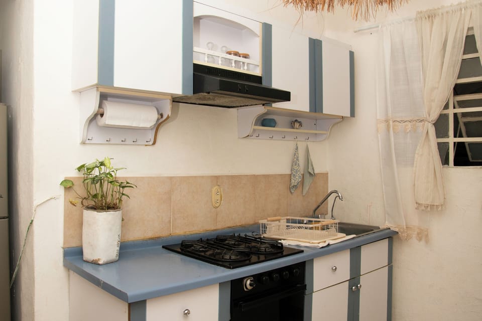 Deluxe Apartment | Private kitchen | Fridge, microwave, coffee/tea maker, cookware/dishes/utensils