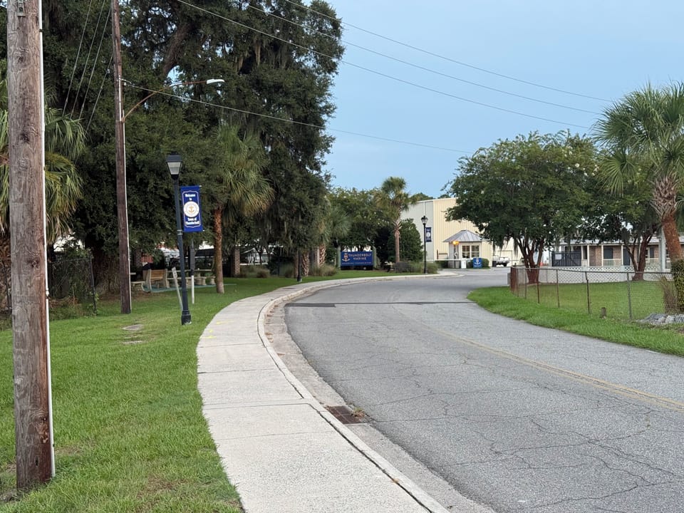 Peaceful tree-lined street with sidewalks and a relaxed neighborhood feel
