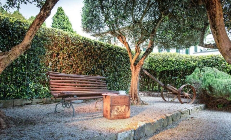 Shrub, Garden, Outdoor Bench, Spring, Shade, Outdoor Furniture, Landscaping, Bench, Hedge, Shadow