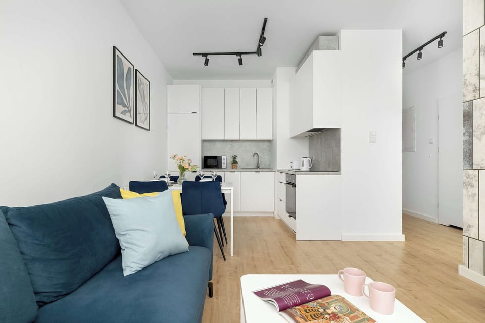 Looking from the sofa, the view extends toward the entrance and the kitchen area. The white walls and light wood flooring maximize the sense of space in this modern studio layout.
