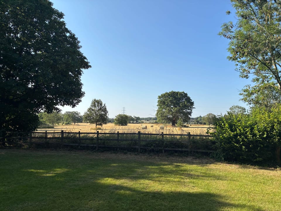 View From Garden