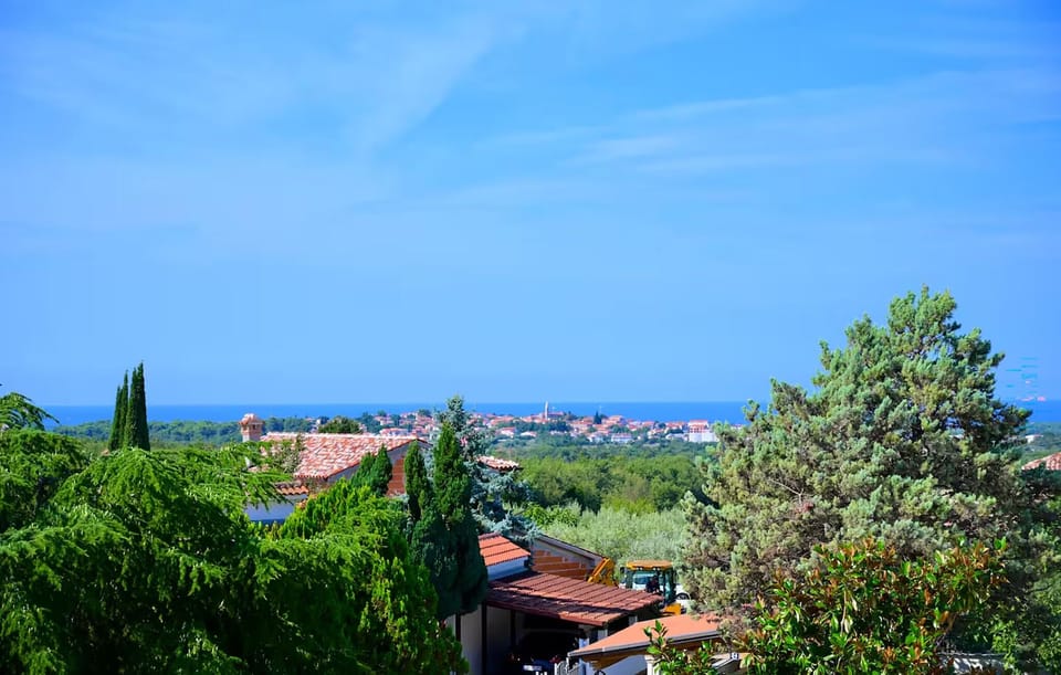 view-from-room