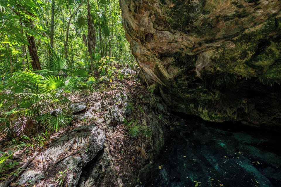 Cenote privado dentro del fraccionamiento 
