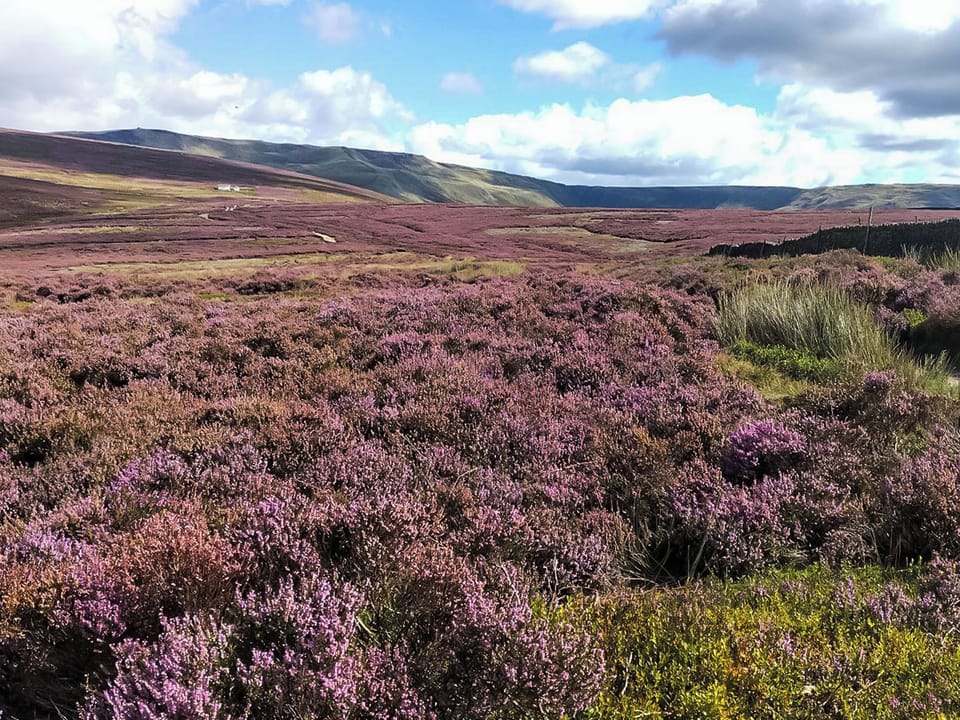 Surrounding area | Kinder Cottage, Hayfield