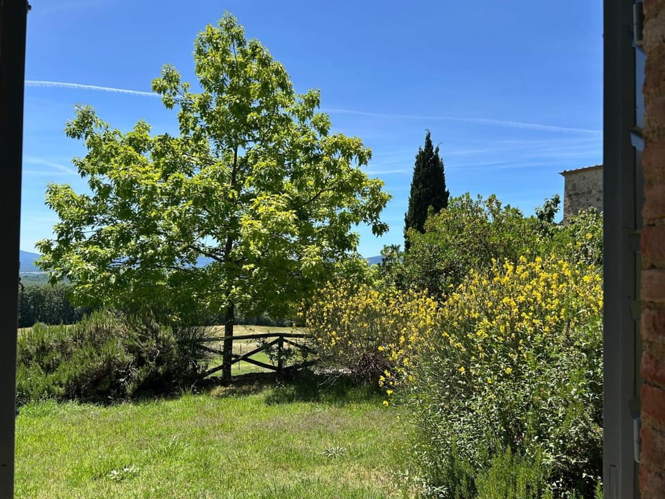Autumn, Garden, Spring, Summer