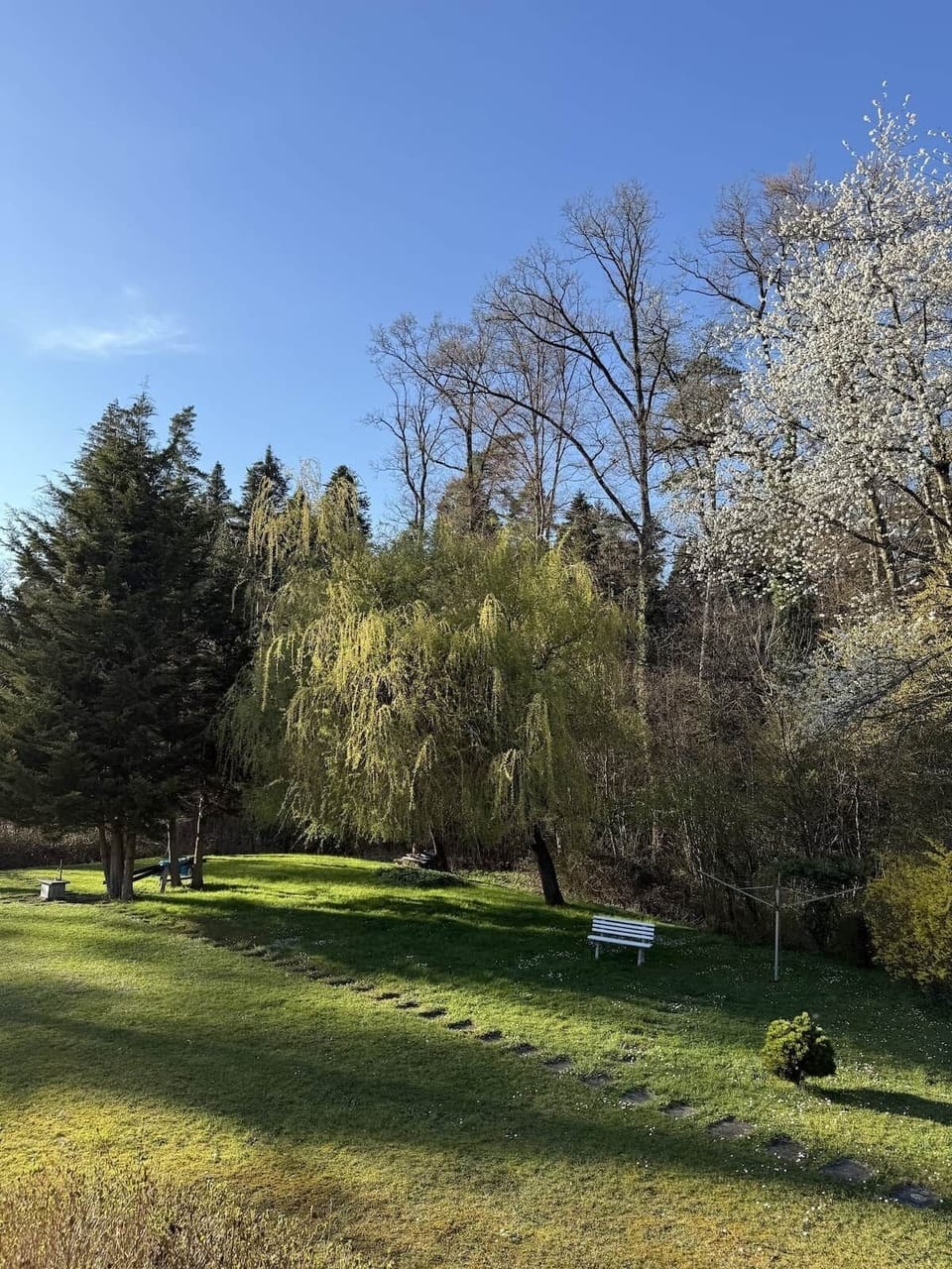 Gemeinschaftlich nutzbarer Garten und sogar eine kleine Spielecke für Kinder gibt es