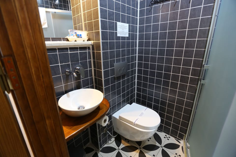 Economy Room, Courtyard View | Bathroom | Shower, hair dryer, towels, soap