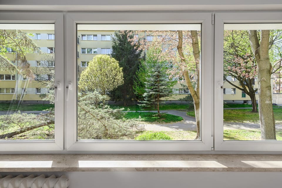 Comfort Apartment, City View | View from room