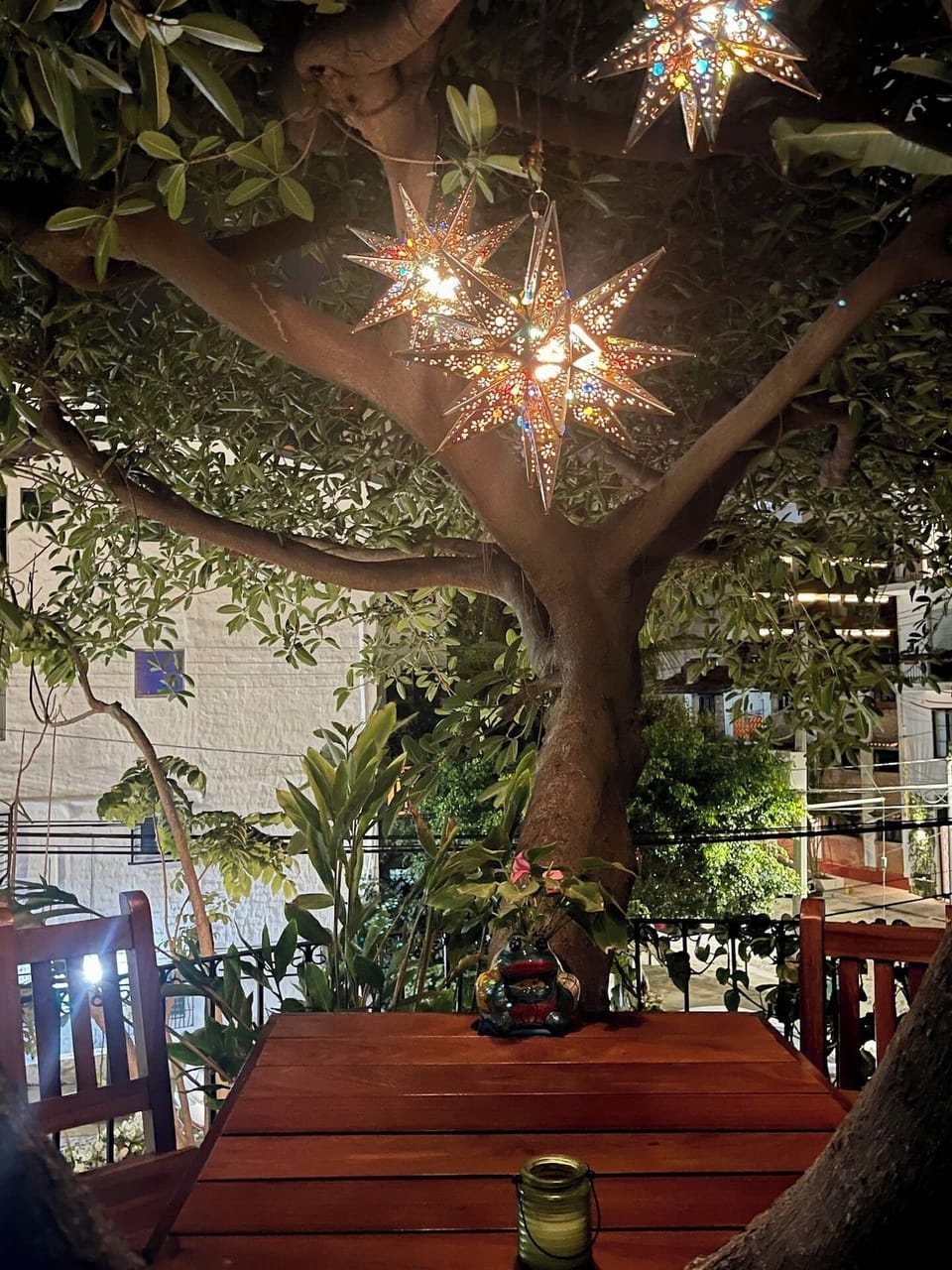 Star light dining under the Banyan tree  
