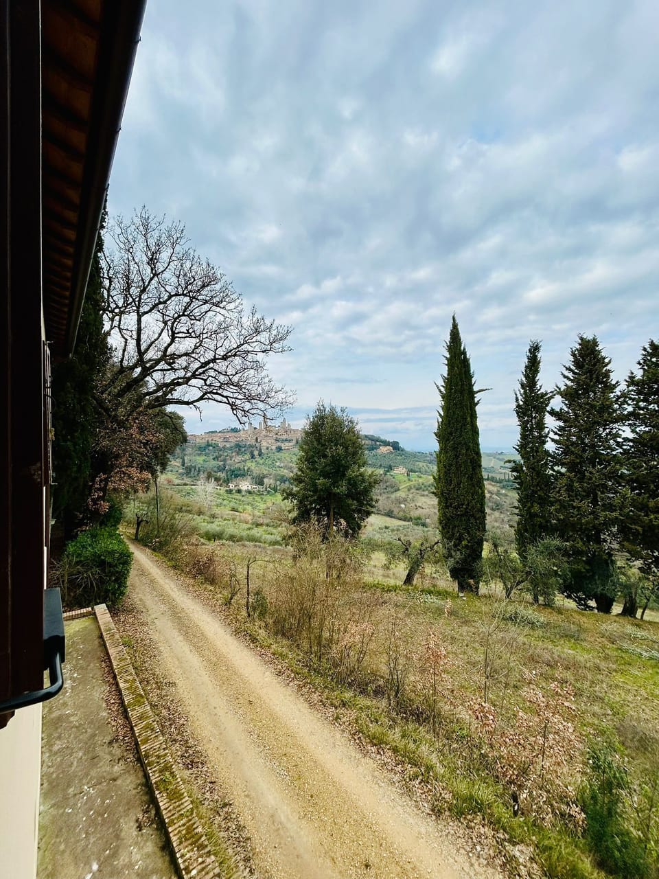 View from property