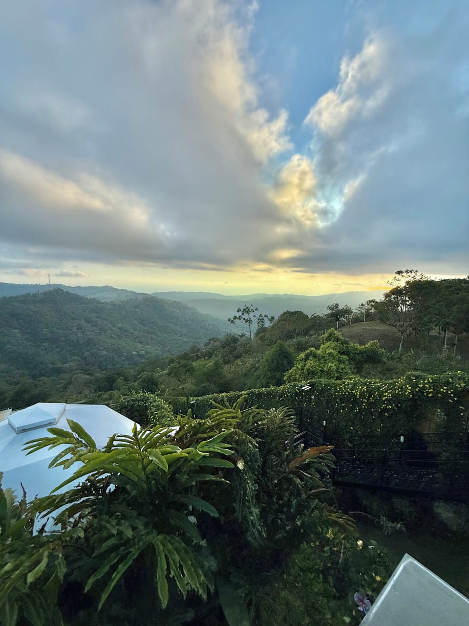 View from property