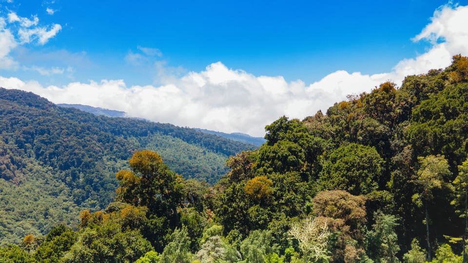Superior Double Room, Balcony, Mountain View | Miscellaneous
