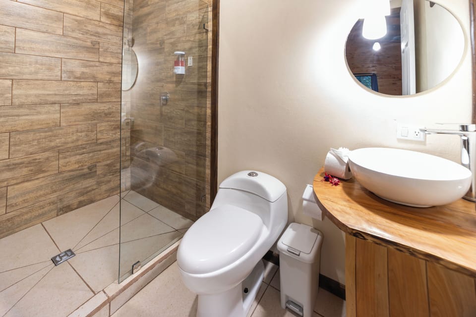 Standard Double or Twin Room, Mountain View | Bathroom | Separate tub and shower, towels, soap, shampoo