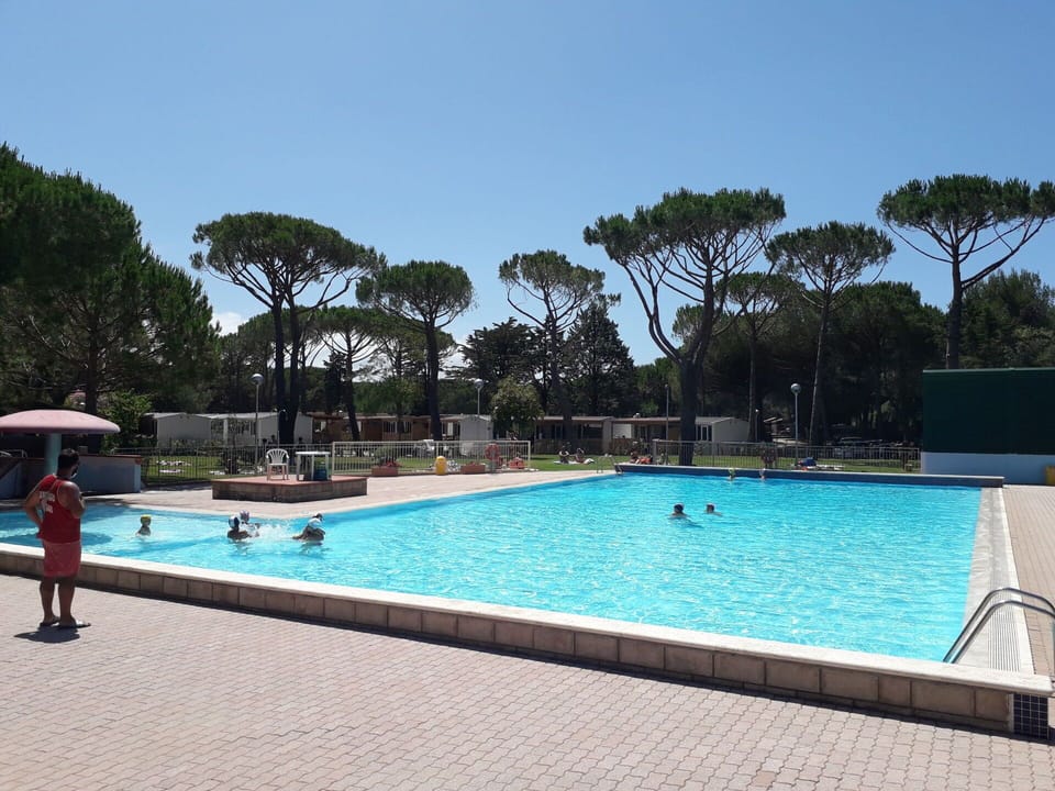 Water, Sky, Property, Plant, Swimming Pool, Azure, Tree, Shade, Building, Rectangle