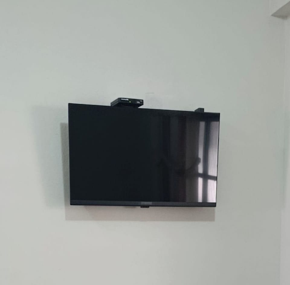 Television
