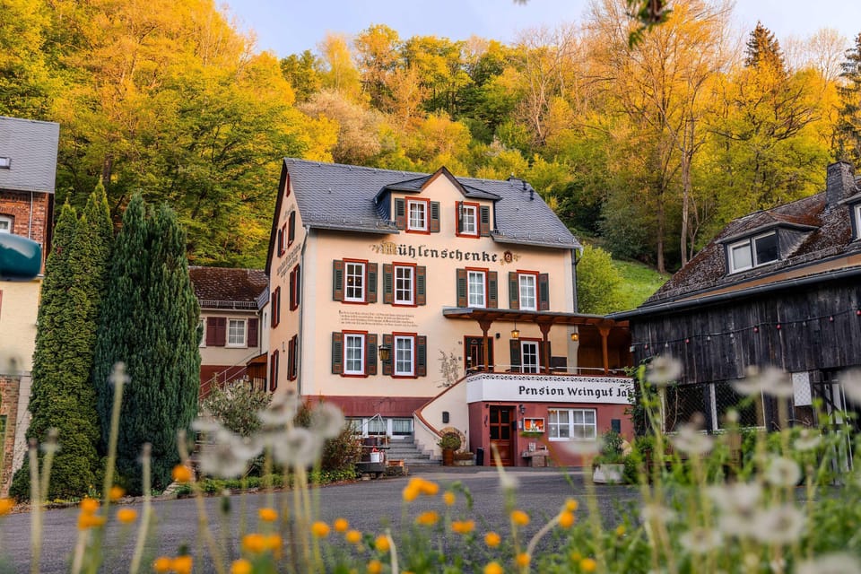 House | 9 bedrooms, Internet