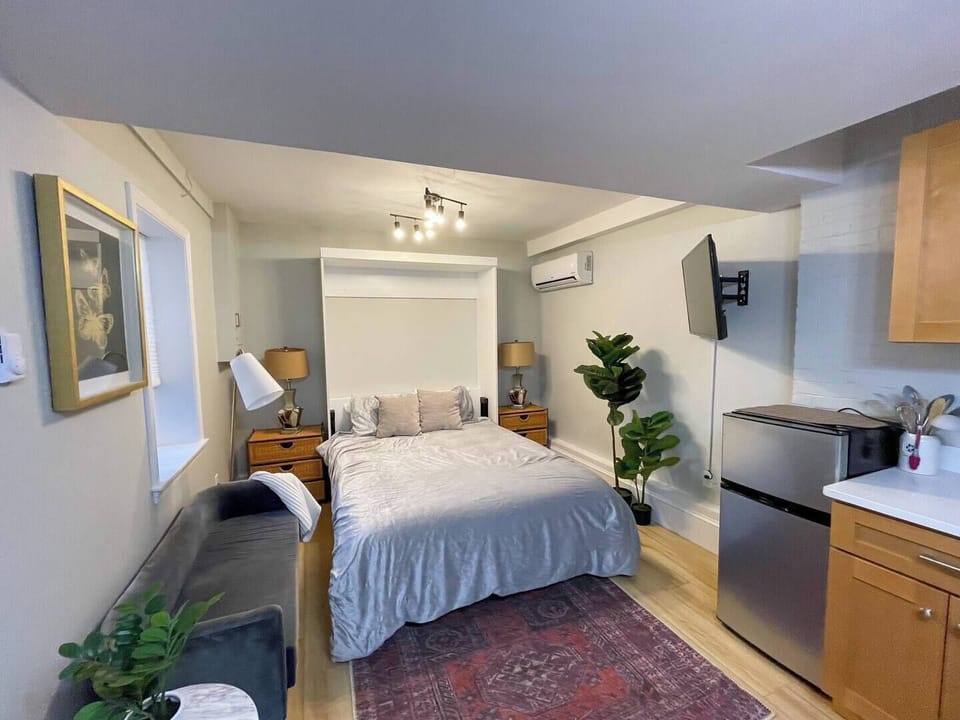 Bedroom/Living Room space with Murphy bed down for sleeping