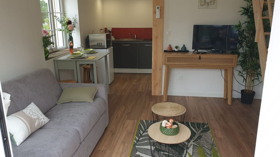 Apartment, 1 Queen Bed, Non Smoking, Pool Access | Living area | 25-cm TV with satellite channels