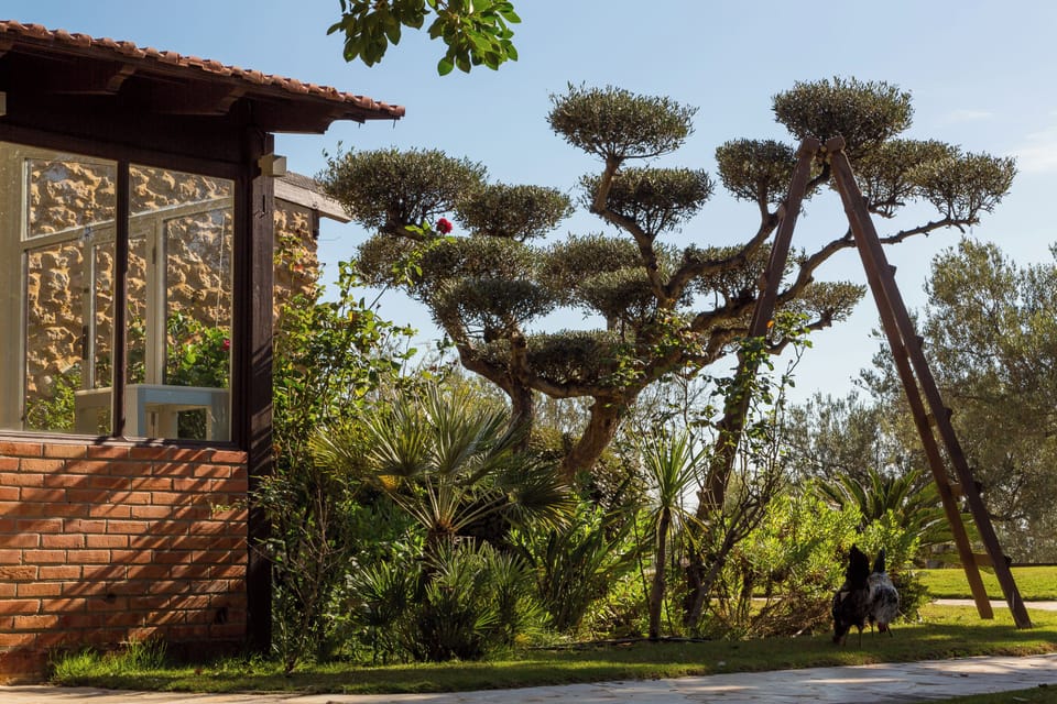 Villa, 5 Bedrooms, Private Pool, Garden View | Garden