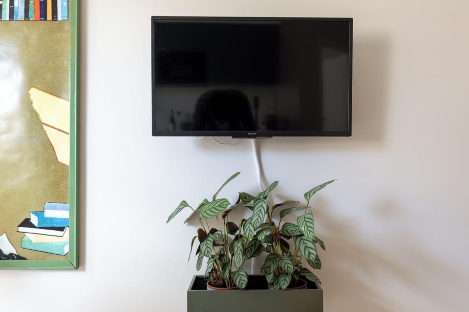 Television