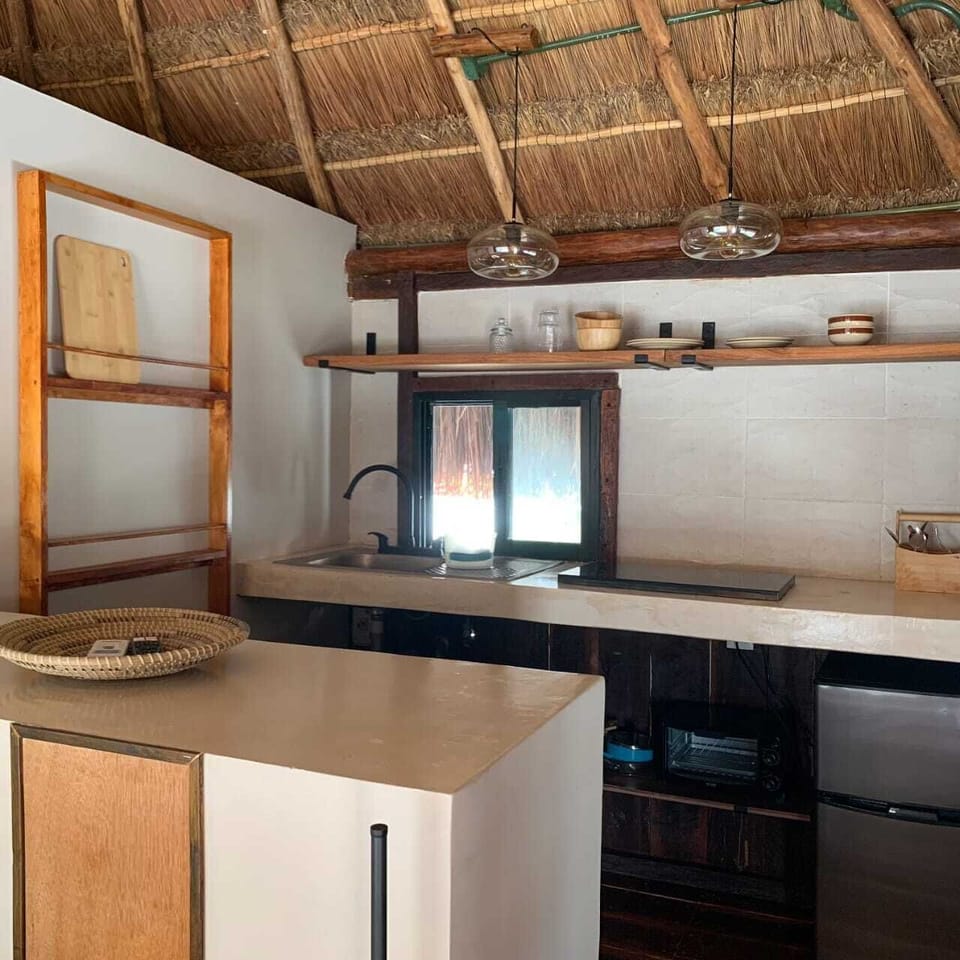 Mini-fridge, microwave, stovetop, toaster oven