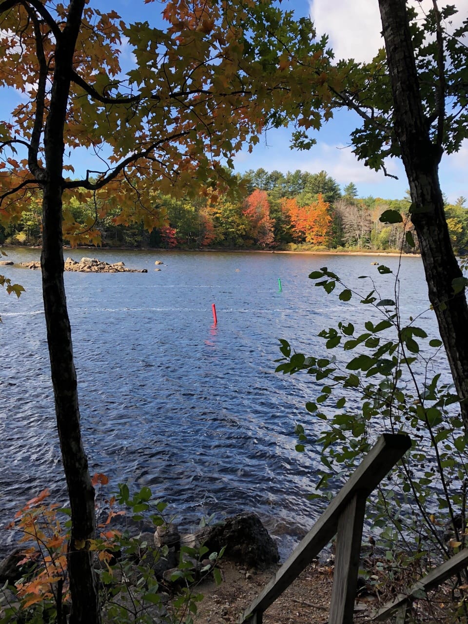 Lake Views