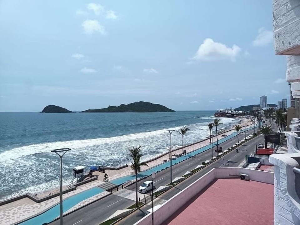 Gaze across rolling waves and palm-lined waterfront from above.