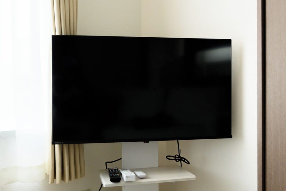 Television