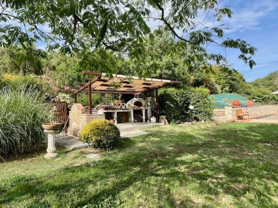 Shrub, Garden, Rural Area, Shade, Backyard, Landscaping, Lawn, Outdoor Structure, Yard