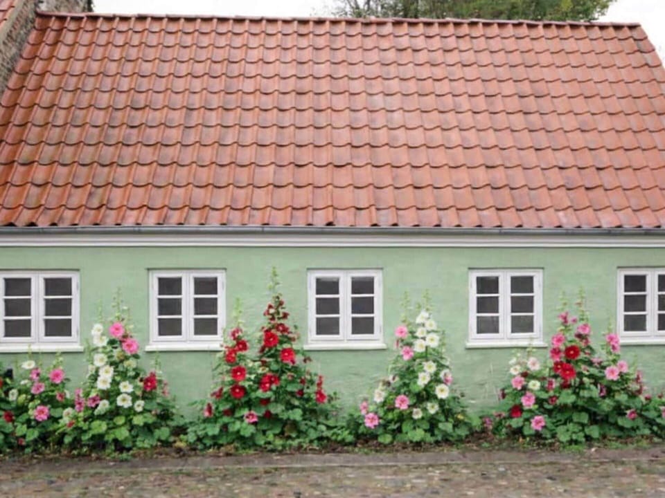 House | View from property