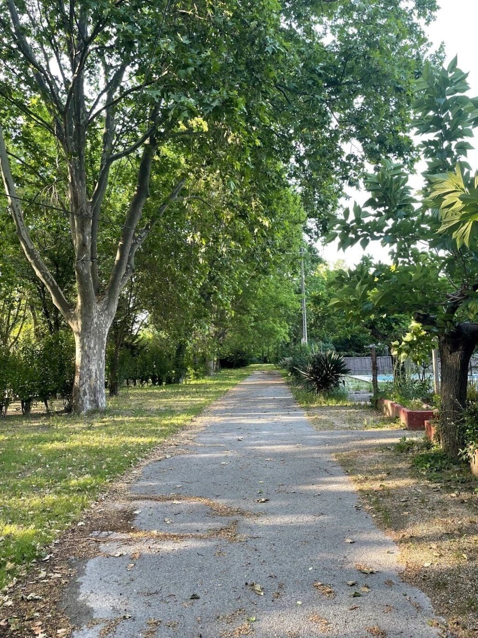 Property grounds