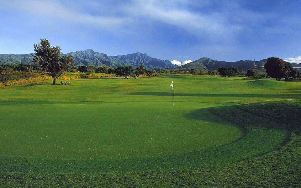 Golf Course Green With Mountain View
