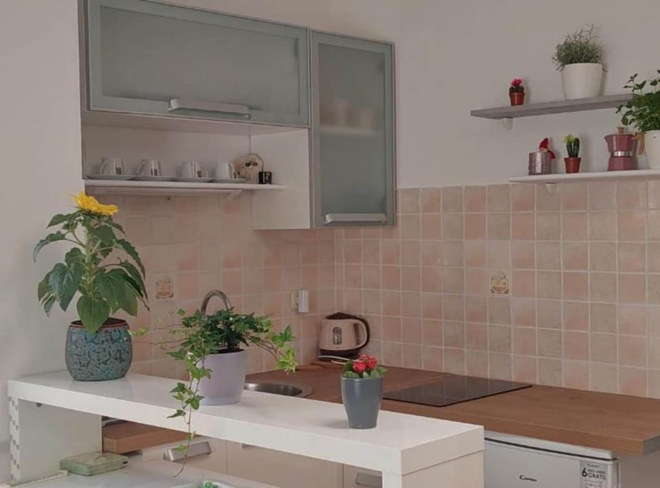 Studio (Boutique Studio Pula) | Private kitchen | Fridge