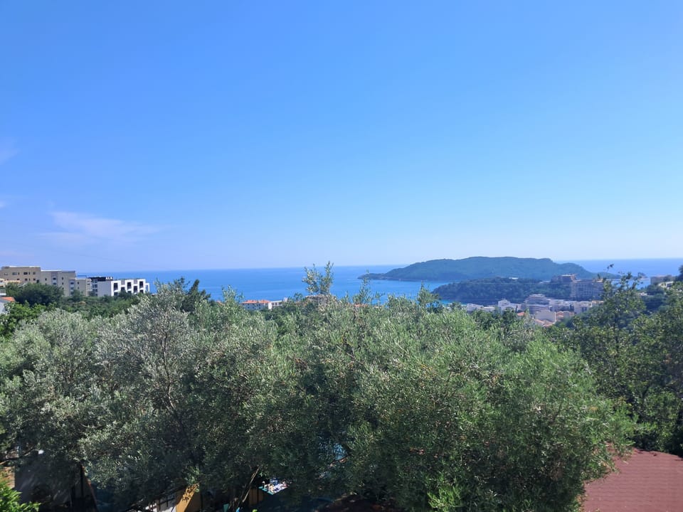 Panoramic Apartment | Terrace/patio