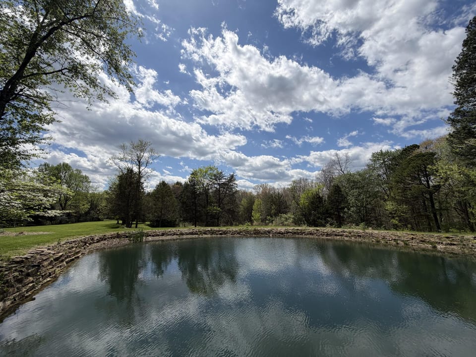 Calm pond bordered by natural stone, reflecting a blue sky scattered with fluffy white clouds and surrounded by trees.