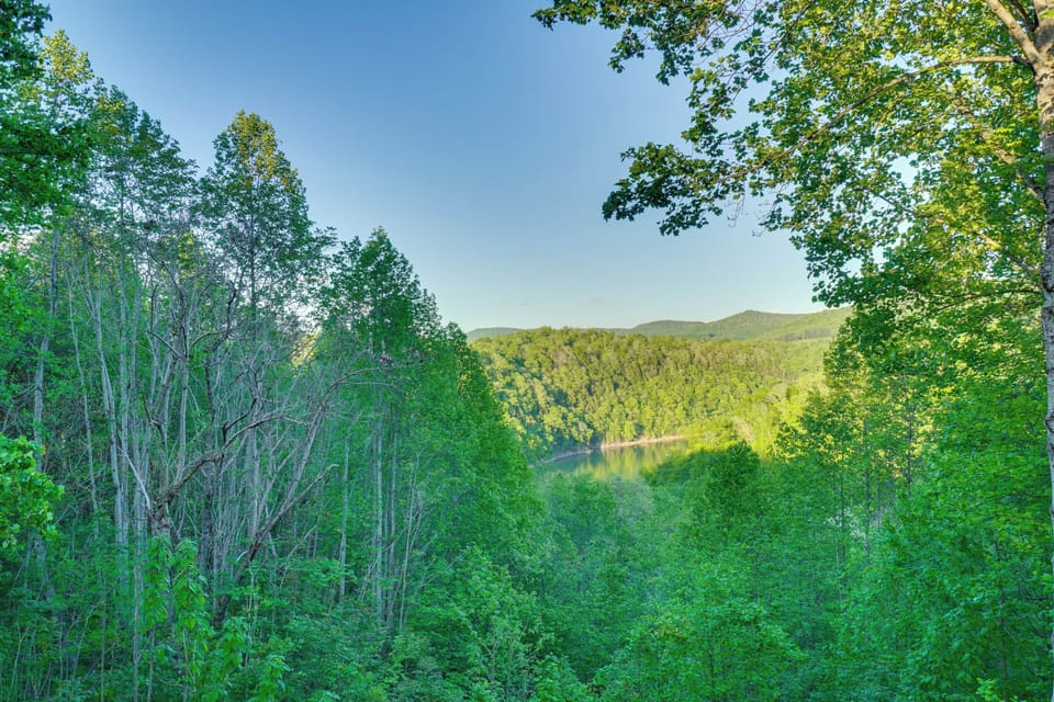 Forest & Lake Views