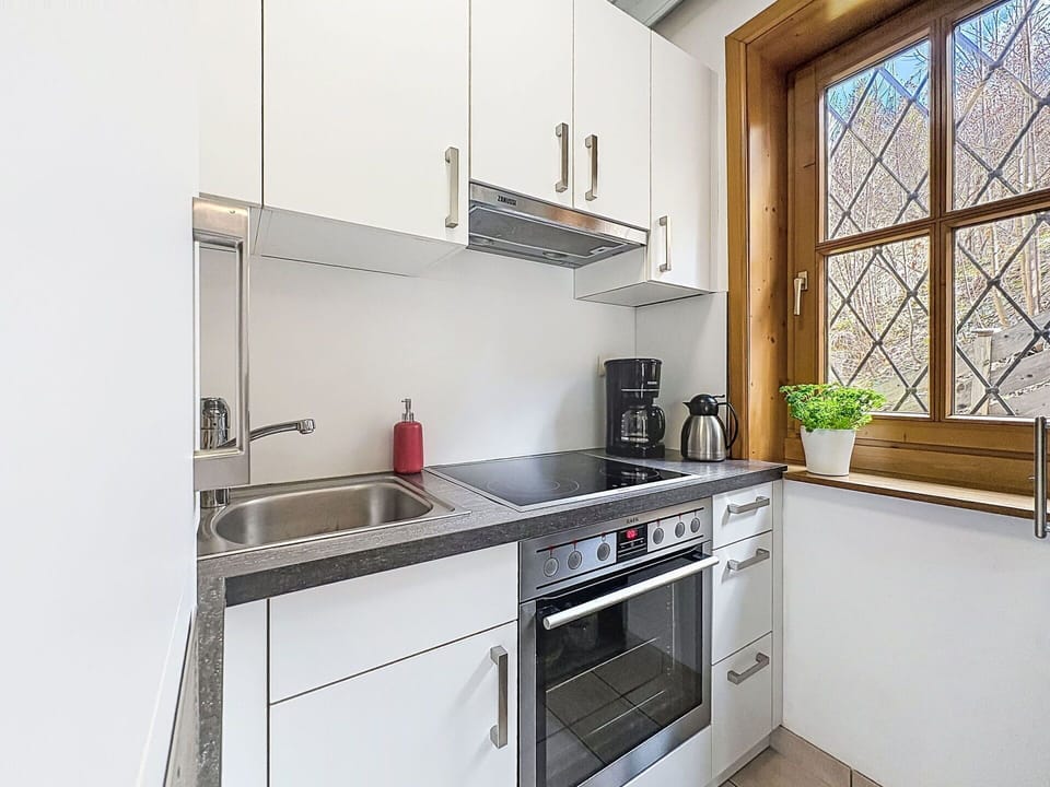 Kitchen, Kitchen Appliance, Countertop, Major Appliance, Flooring, Wood, Interior Design, Cabinetry, Kitchen Sink, Home Appliance