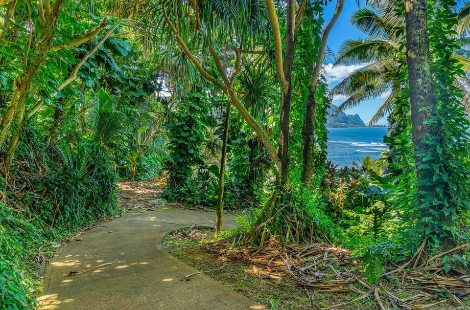 Path to Hideaway's Beach