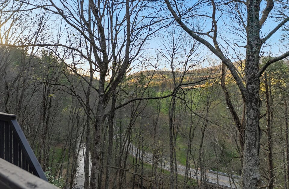 Seasonal View of the Creek