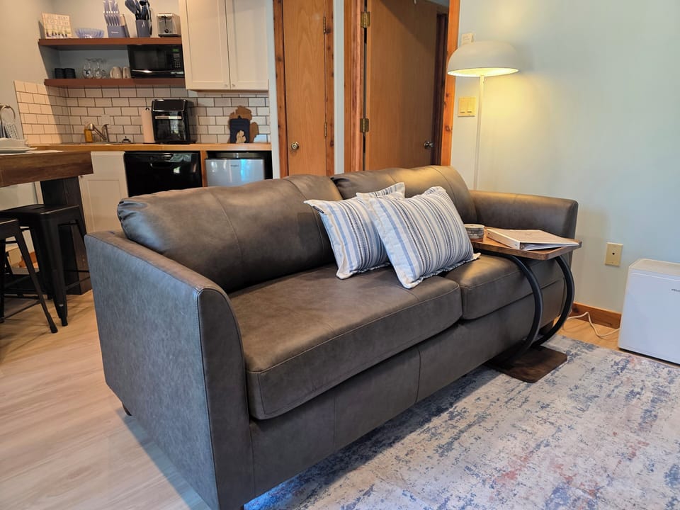 Brand new leather sofa sleeper