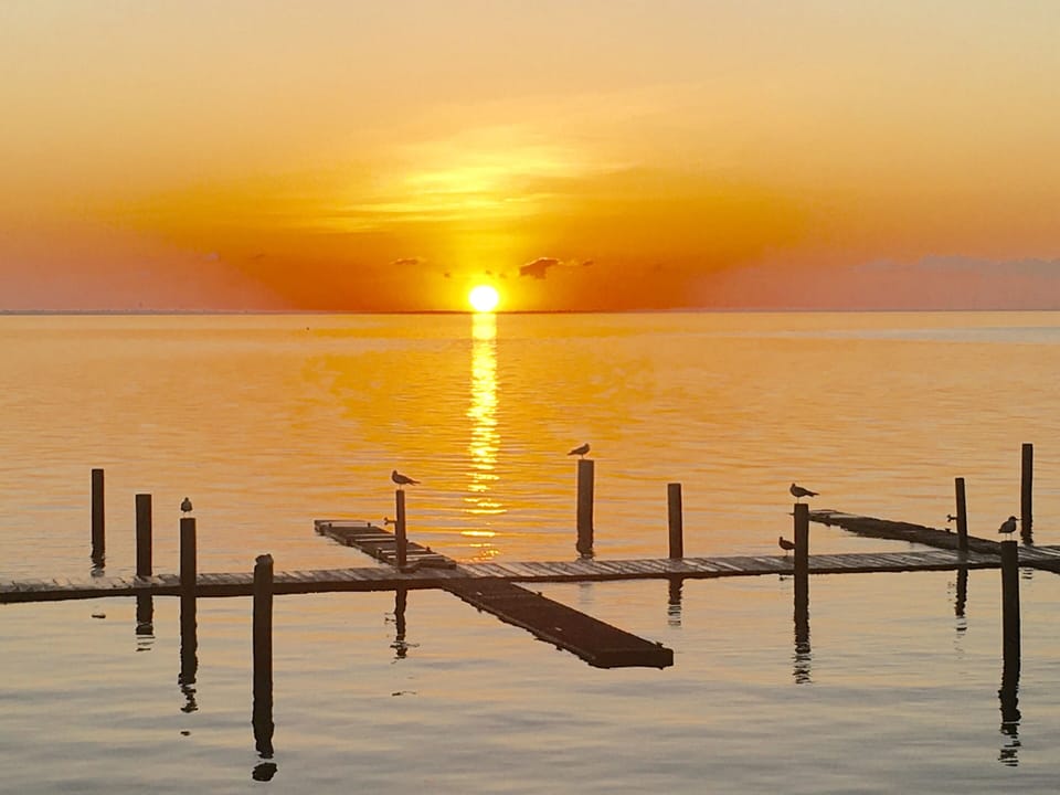 End your day enjoying a Bay Side Amazing Sunset.