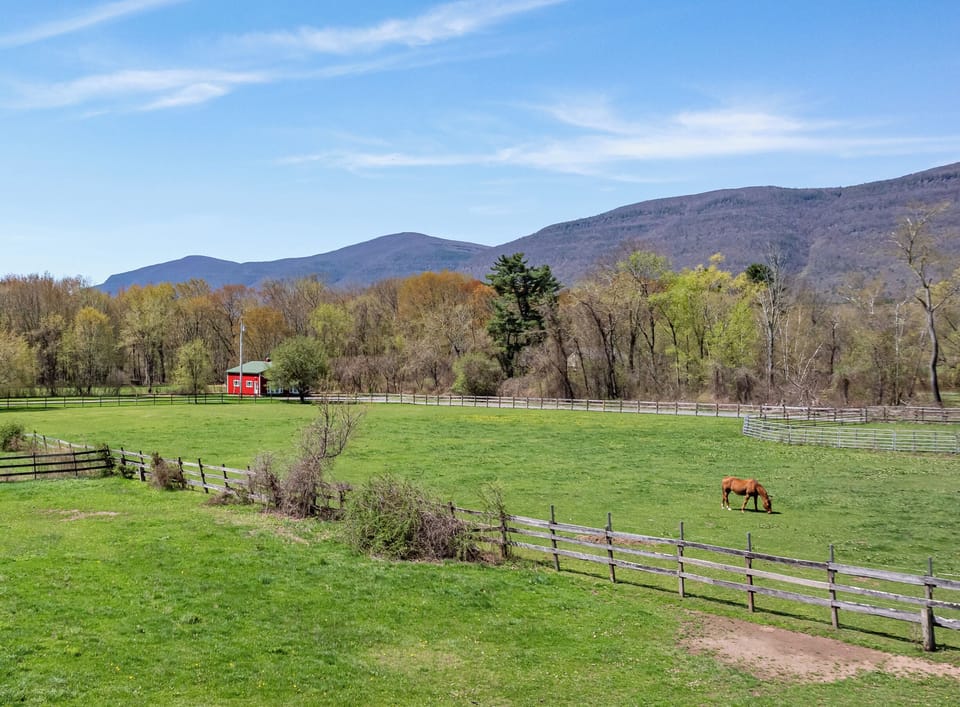 Horses graze peacefully in the paddocks surrounding our home