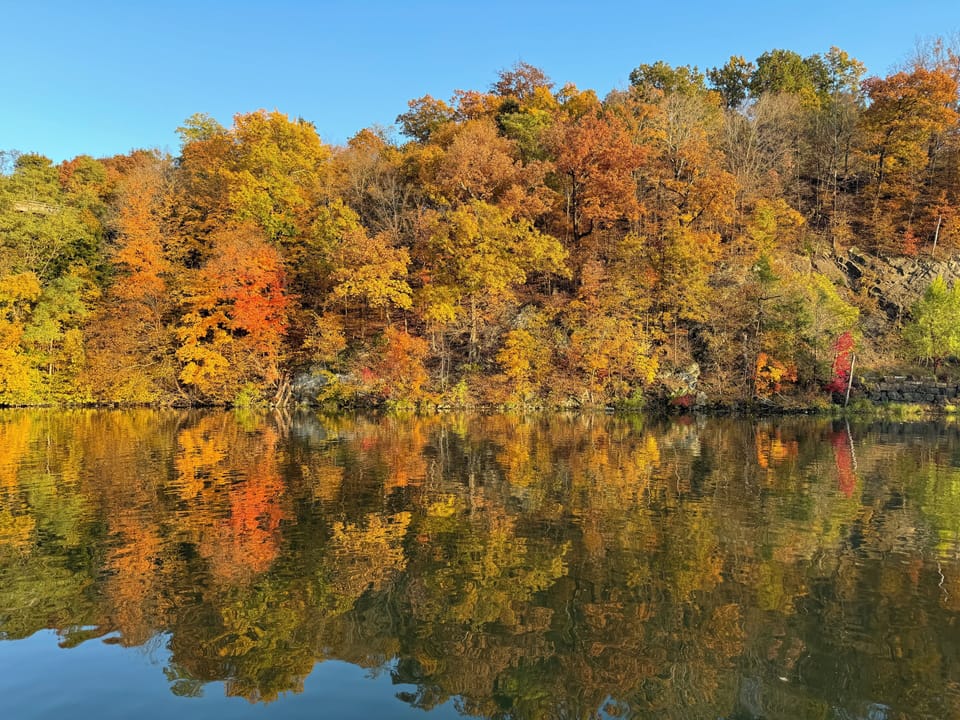 Autumn on the Creek