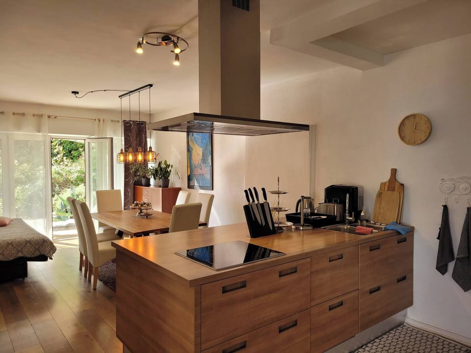 Apartment, 1 Bedroom, Accessible, Smoking | Private kitchen