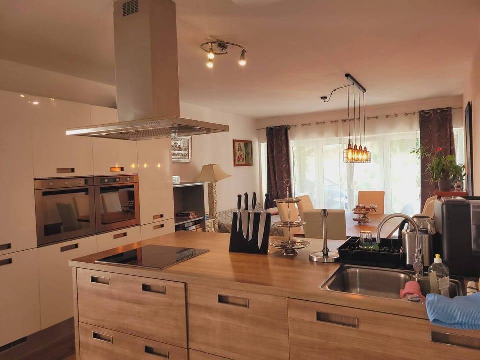 Apartment, 1 Bedroom, Accessible, Smoking | Private kitchen