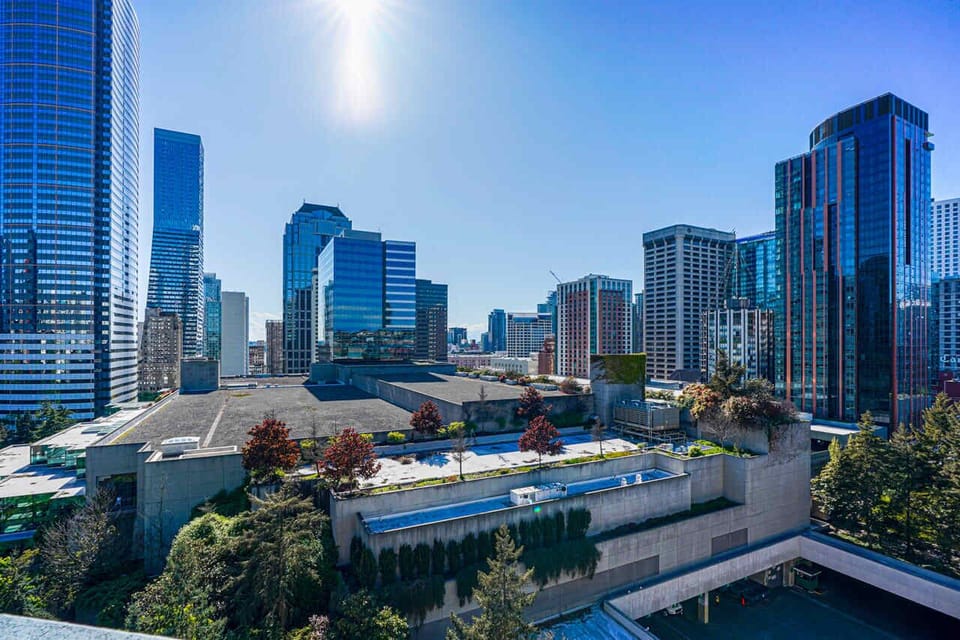 View from Roof top