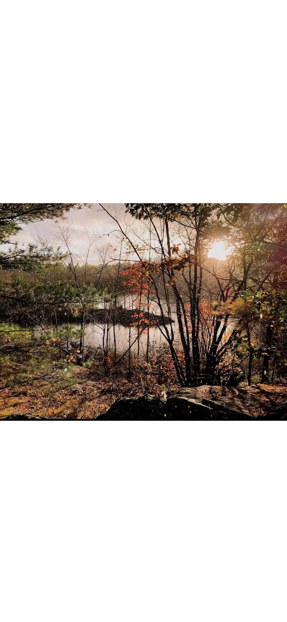 Miscellaneous
