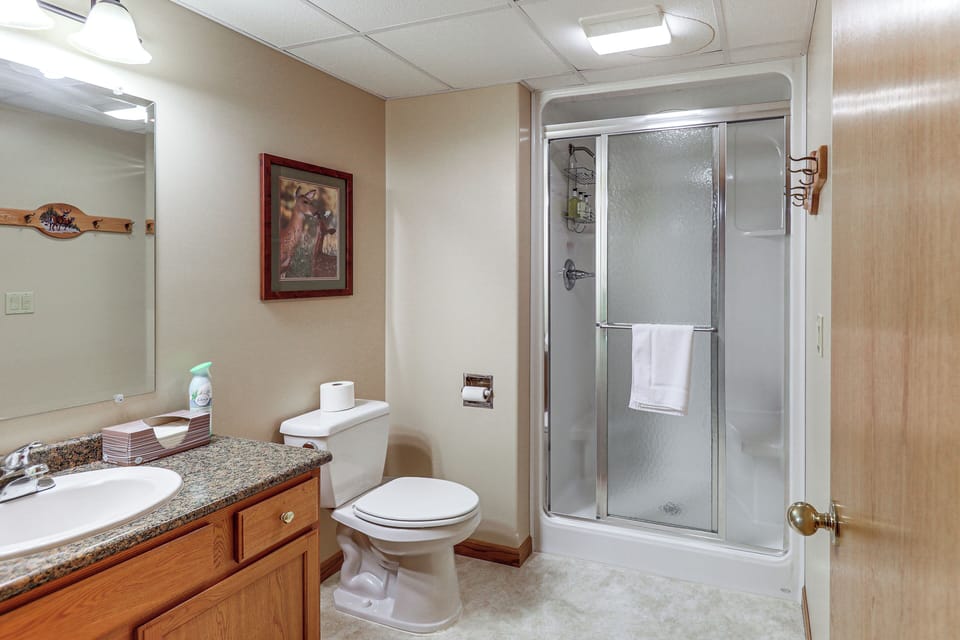 Full Bathroom | Basement