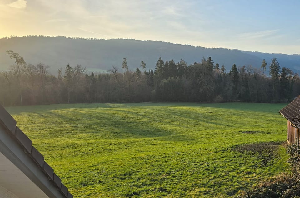 View from property